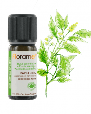 Florame Camphor Tree Wood WILD 10ml