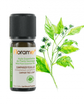 Florame Camphor Tree leaf WILD 10ml