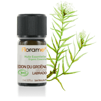 Florame Labrador Tea ORG Essential Oil 2ml